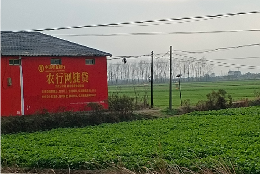 大竹如何防止墙体广告褪色呢？