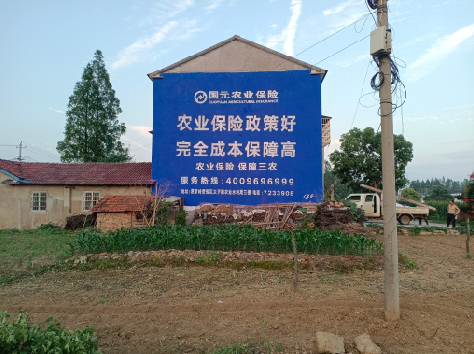 大竹墙体广告的优劣势你知道吗?